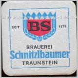 schnitzel (16).jpg
